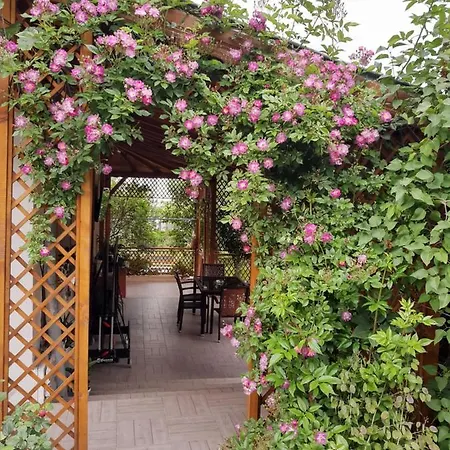 Casa de hóspedes Georgievi 3*
