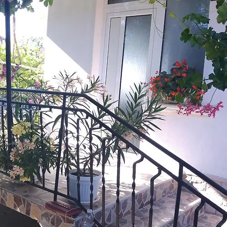 Πανσιόν Georgievi 3*