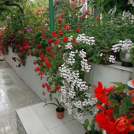 Affittacamere Georgievi